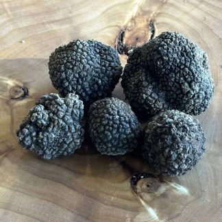Tuber Mesentericum Tartufo Di Bagnoli Irpina