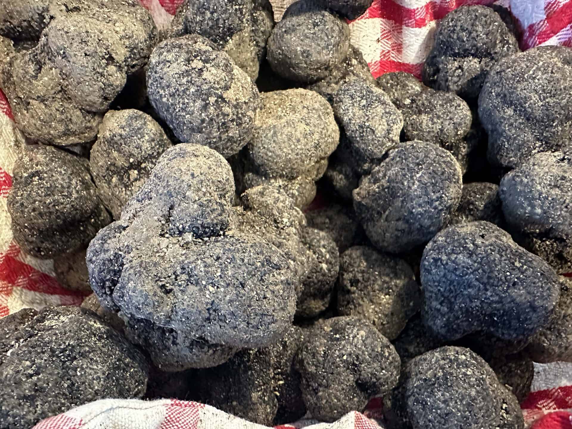 Tuber Melanosporum Vitt Schwarzer Edeltrueffel Tarufo Nero Pregiato