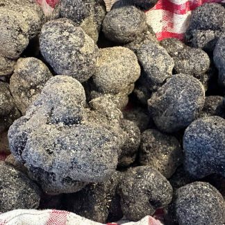 Tuber Melanosporum Vitt Schwarzer Edeltrueffel Tarufo Nero Pregiato